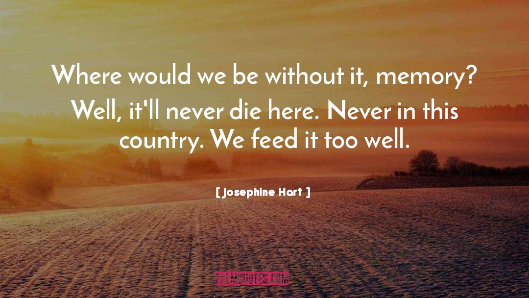 Josephine Hart Quotes: Where would we be without