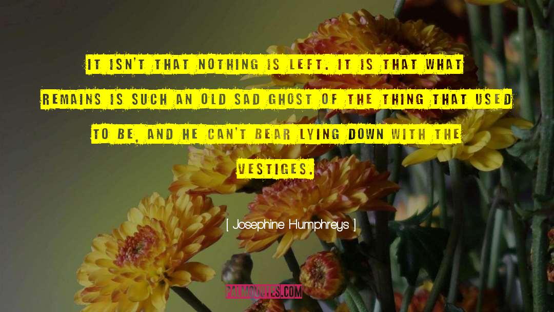 Josephine Humphreys Quotes: It isn't that nothing is