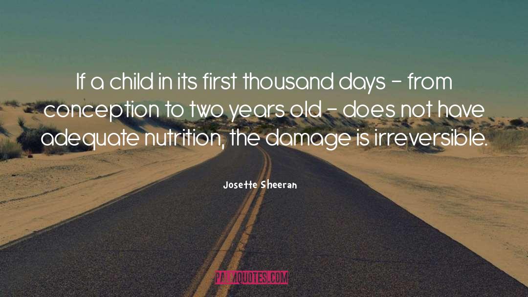 Josette Sheeran Quotes: If a child in its