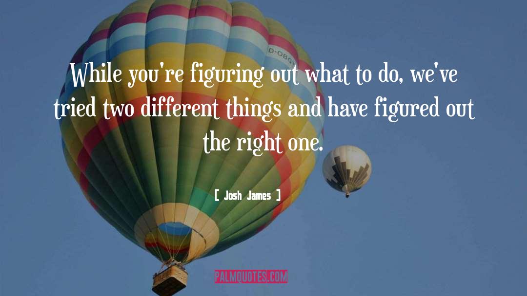 Josh James Quotes: While you're figuring out what