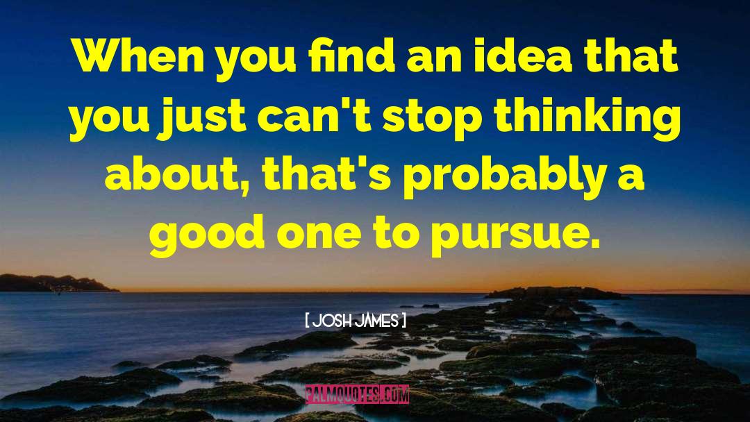 Josh James Quotes: When you find an idea