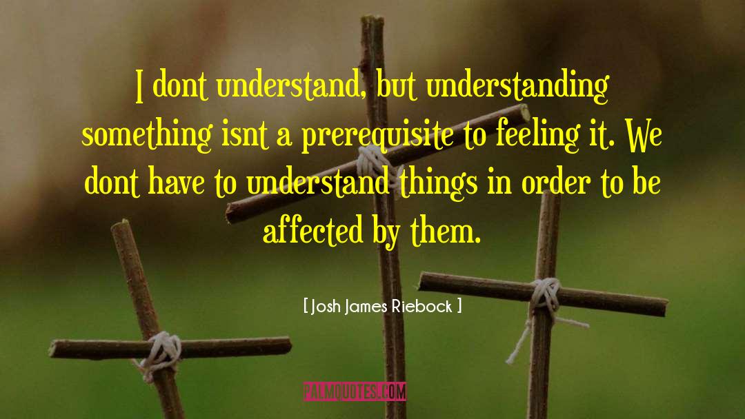 Josh James Riebock Quotes: I dont understand, but understanding