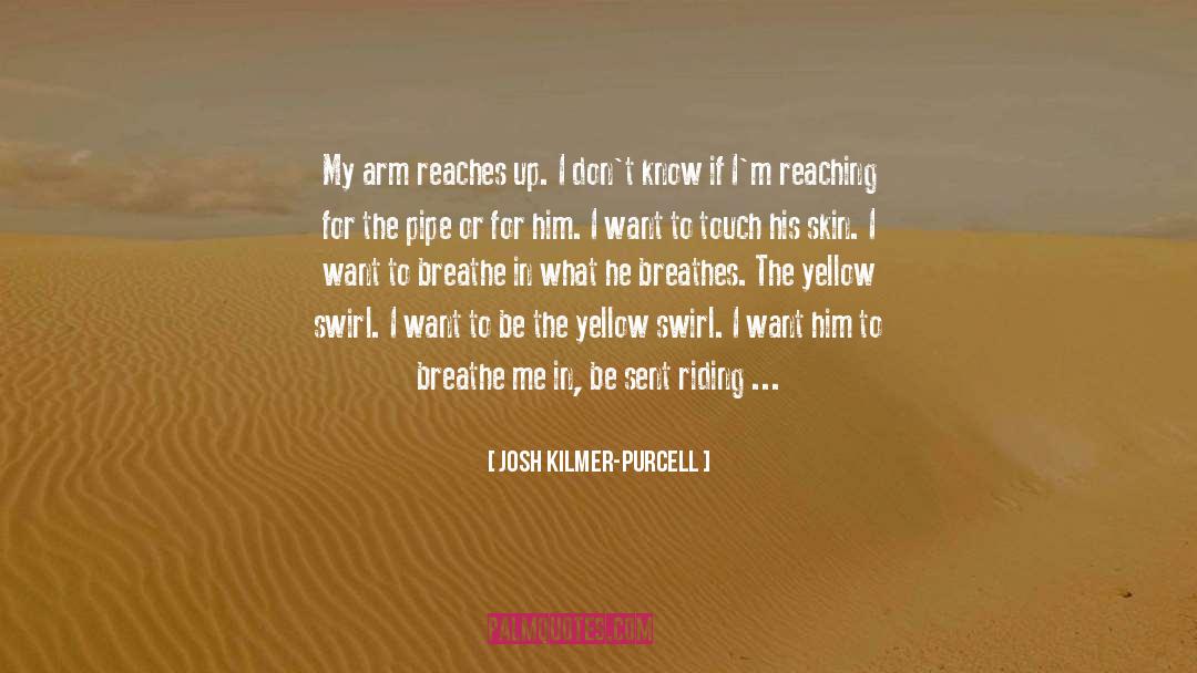 Josh Kilmer-Purcell Quotes: My arm reaches up. I
