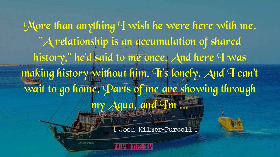 Josh Kilmer-Purcell Quotes: More than anything I wish