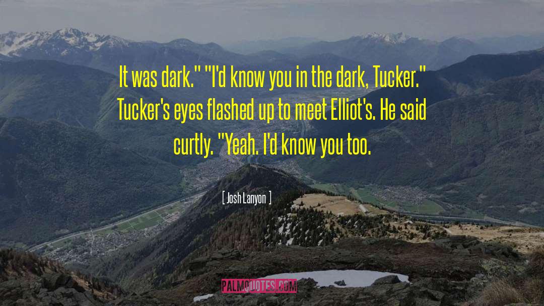 Josh Lanyon Quotes: It was dark.