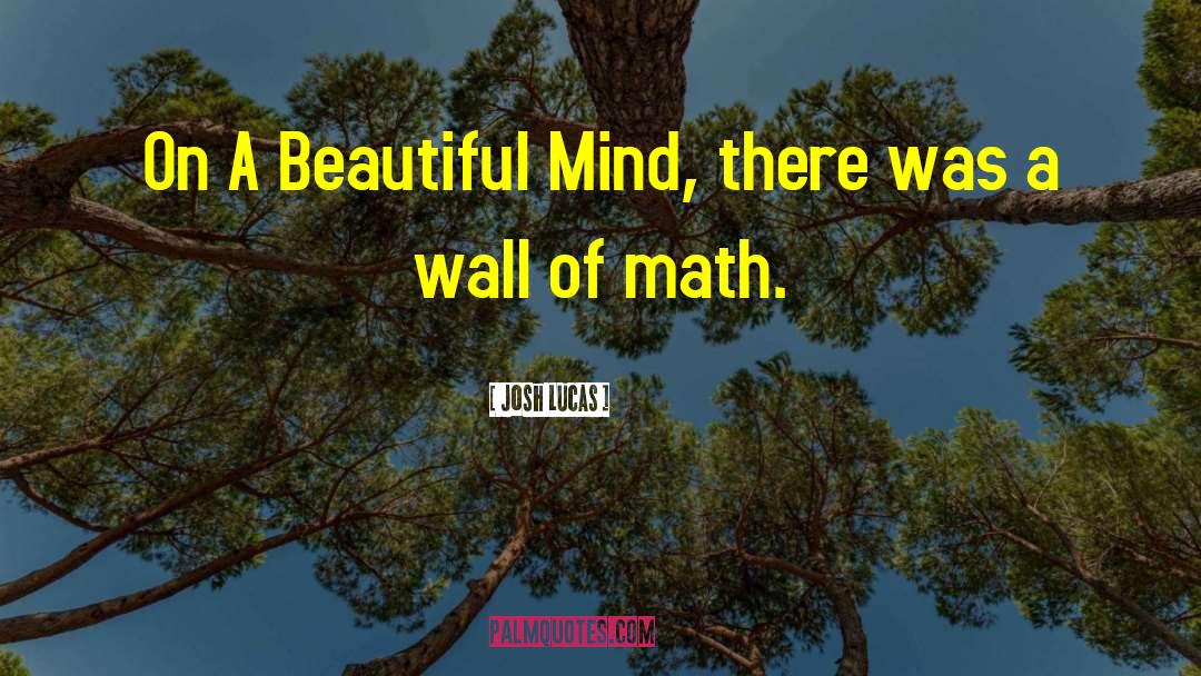 Josh Lucas Quotes: On A Beautiful Mind, there