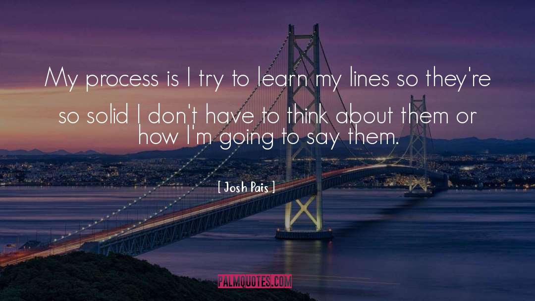 Josh Pais Quotes: My process is I try