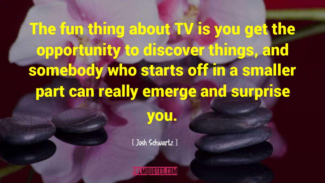 Josh Schwartz Quotes: The fun thing about TV