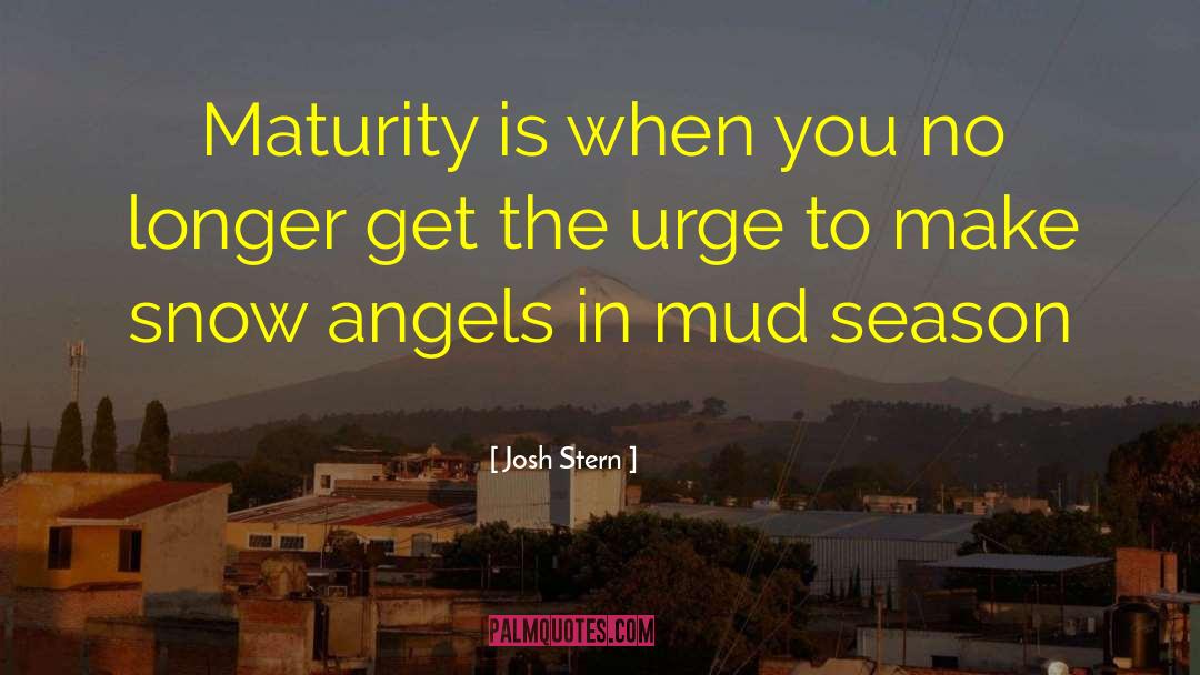 Josh Stern Quotes: Maturity is when you no