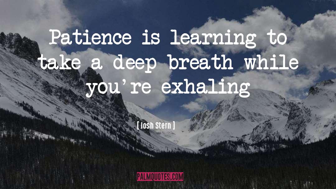 Josh Stern Quotes: Patience is learning to take