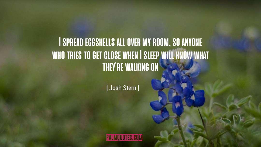 Josh Stern Quotes: I spread eggshells all over