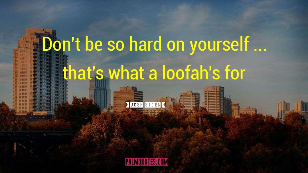 Josh Stern Quotes: Don't be so hard on