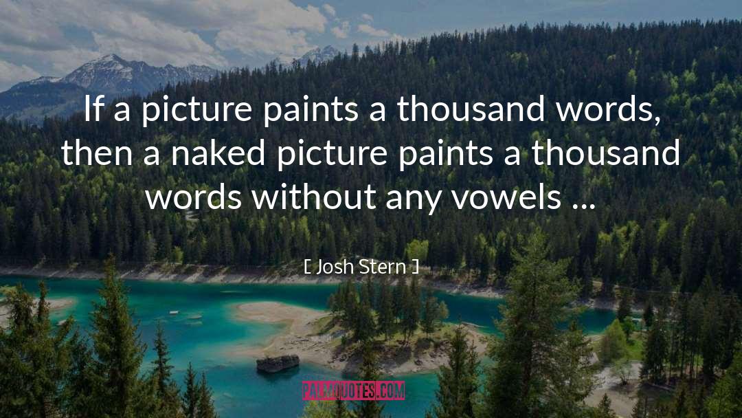 Josh Stern Quotes: If a picture paints a