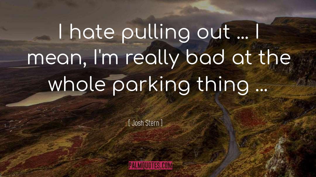 Josh Stern Quotes: I hate pulling out ...