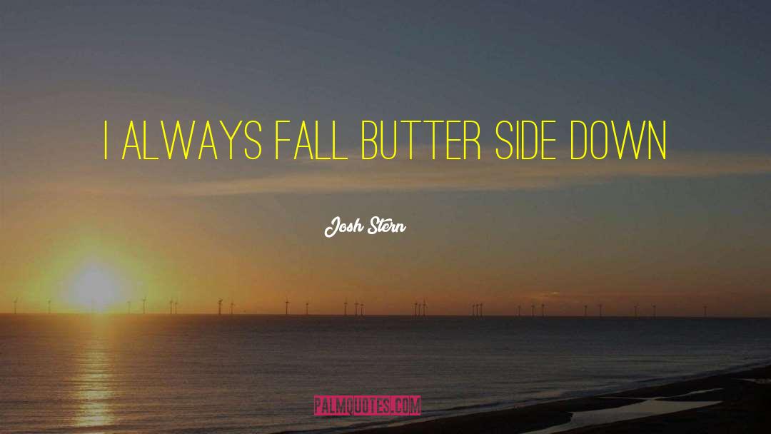 Josh Stern Quotes: I always fall butter side