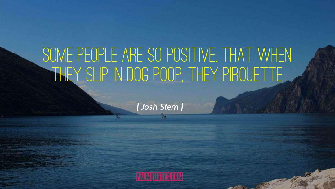 Josh Stern Quotes: Some people are so positive,