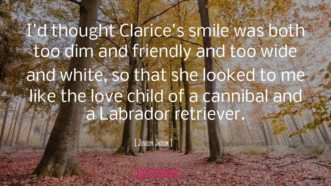 Joshilyn Jackson Quotes: I'd thought Clarice's smile was