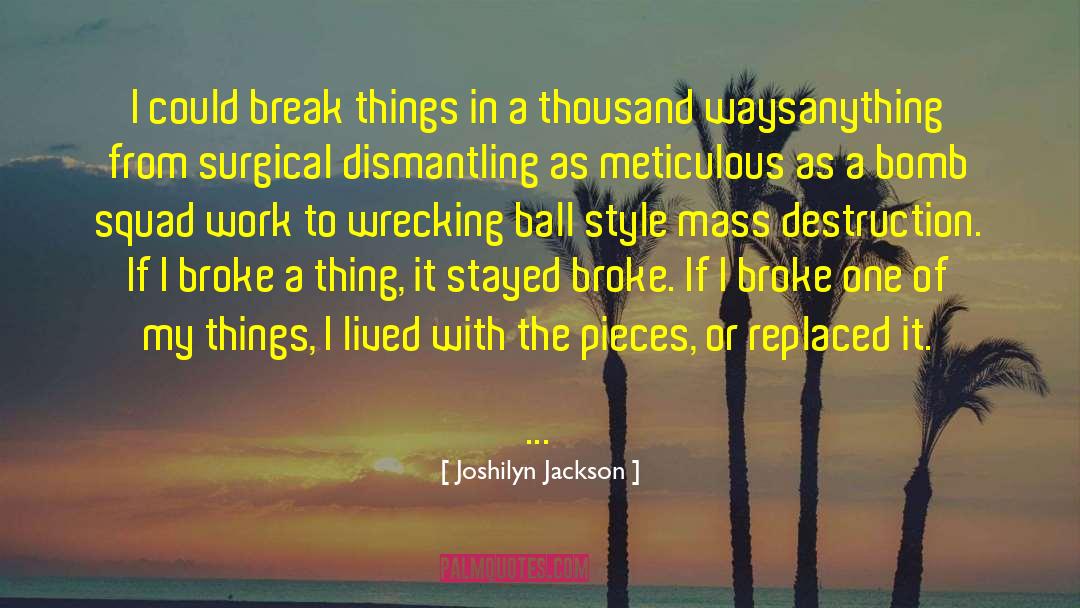 Joshilyn Jackson Quotes: I could break things in