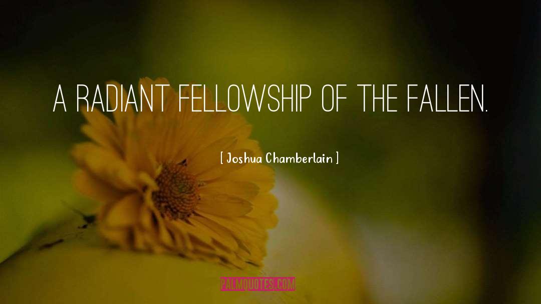 Joshua Chamberlain Quotes: A radiant fellowship of the