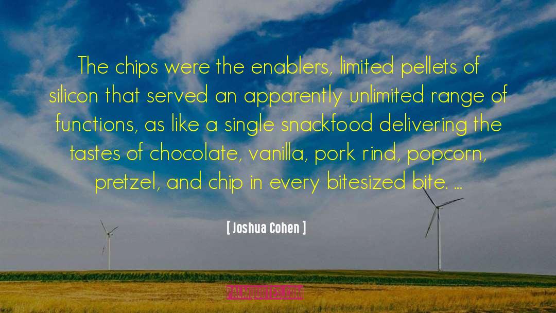 Joshua Cohen Quotes: The chips were the enablers,