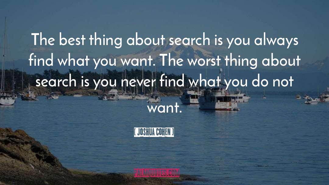 Joshua Cohen Quotes: The best thing about search