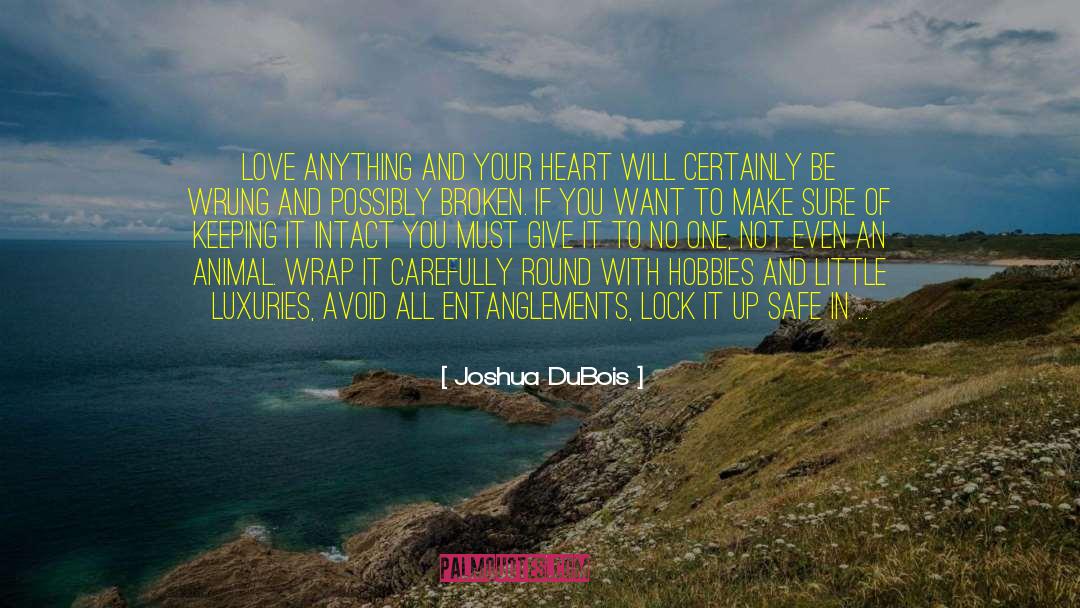 Joshua DuBois Quotes: Love anything and your heart