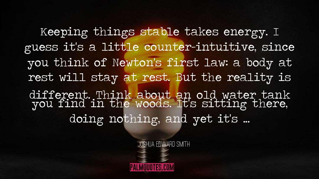 Joshua Edward Smith Quotes: Keeping things stable takes energy.