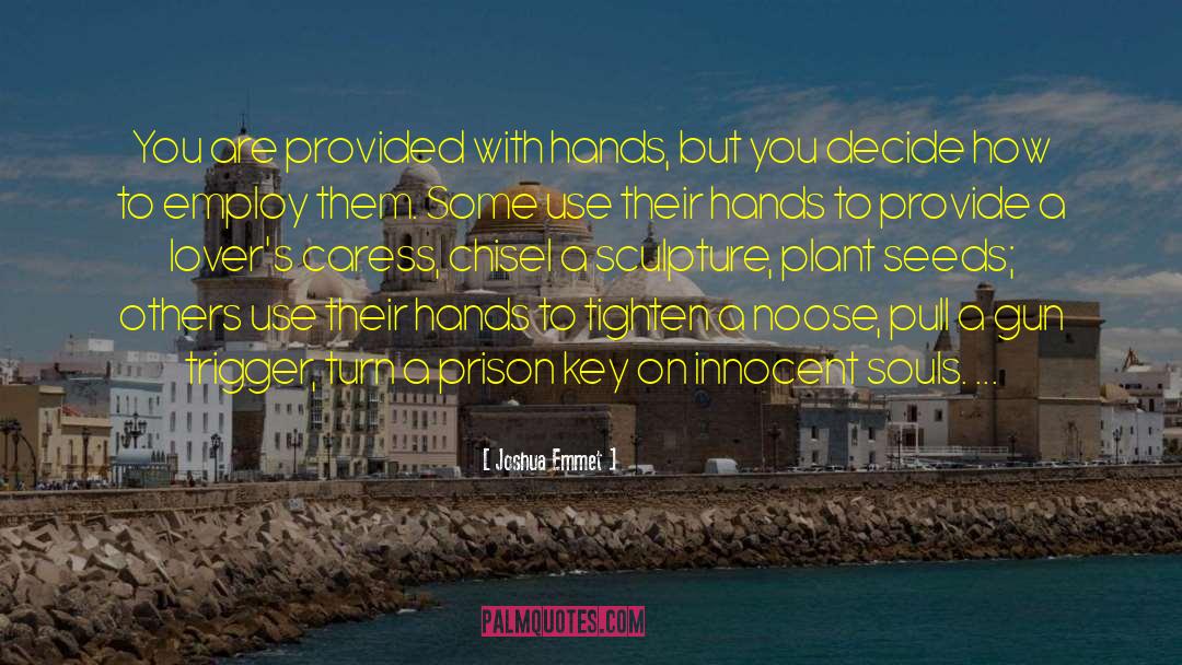 Joshua Emmet Quotes: You are provided with hands,