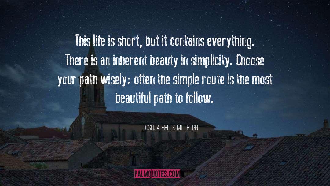 Joshua Fields Millburn Quotes: This life is short, but