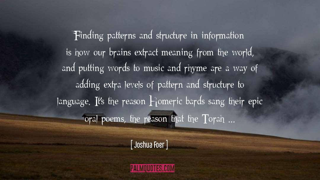 Joshua Foer Quotes: Finding patterns and structure in