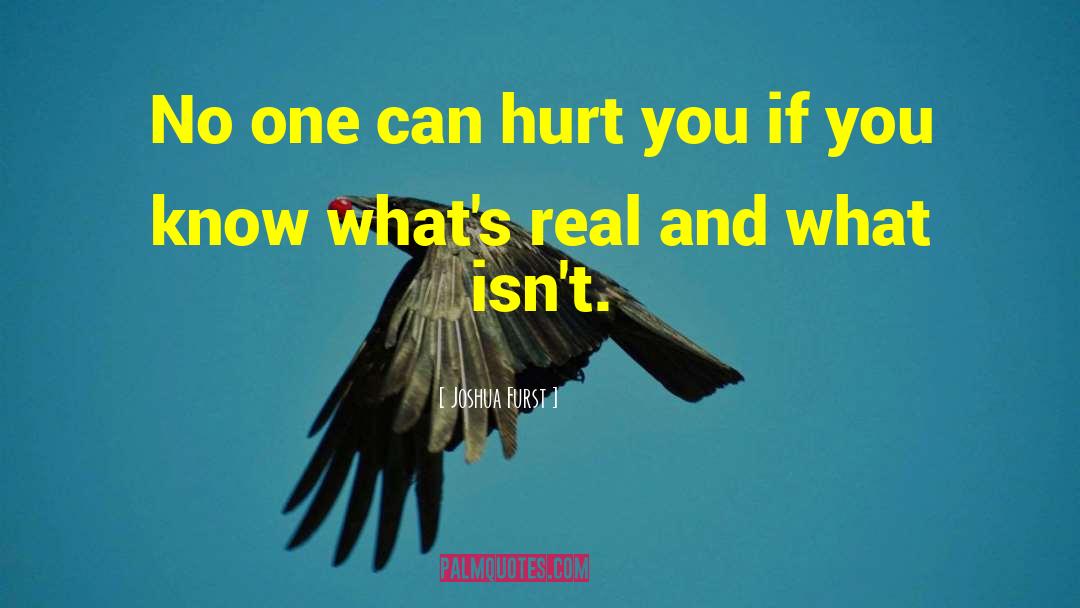 Joshua Furst Quotes: No one can hurt you