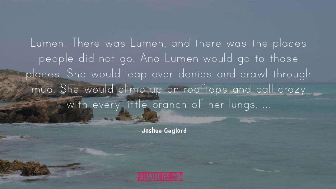 Joshua Gaylord Quotes: Lumen. There was Lumen, and