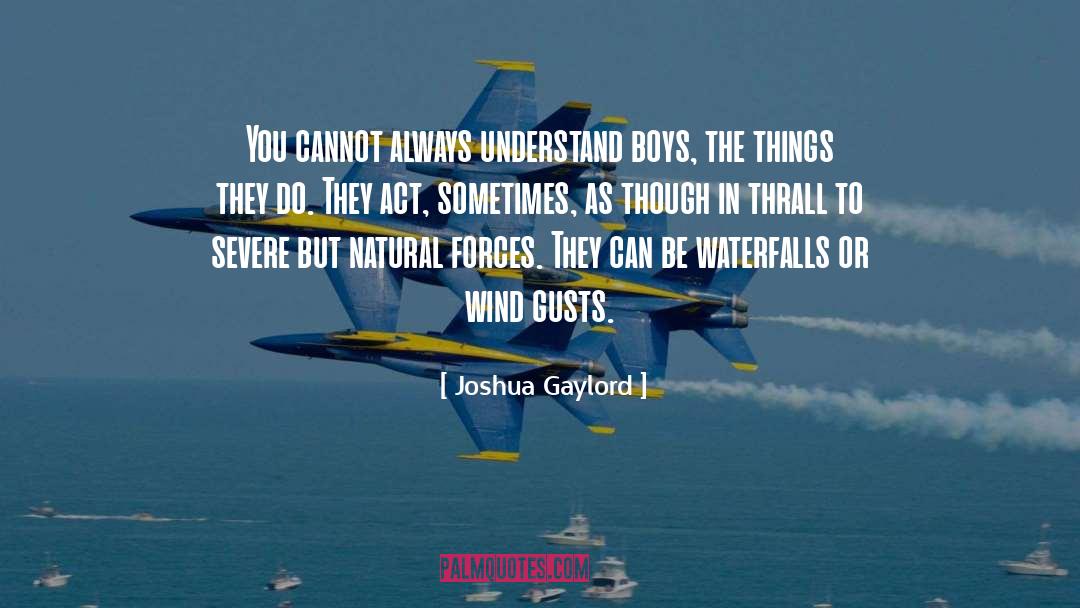 Joshua Gaylord Quotes: You cannot always understand boys,