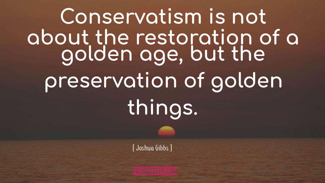 Joshua Gibbs Quotes: Conservatism is not about the