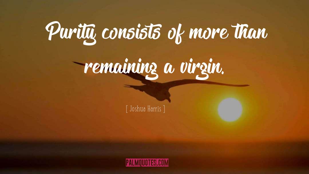 Joshua Harris Quotes: Purity consists of more than