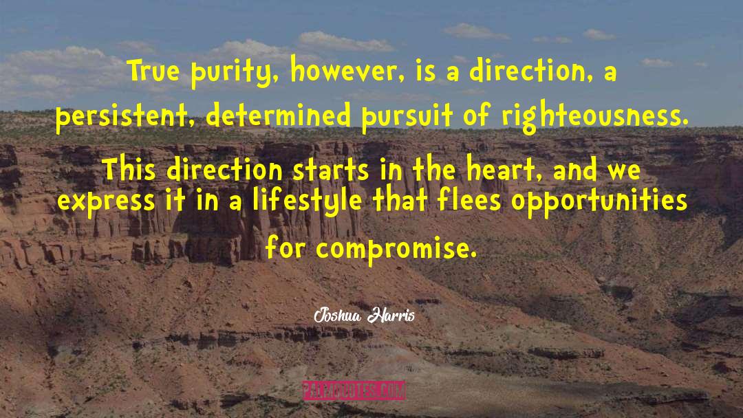Joshua Harris Quotes: True purity, however, is a