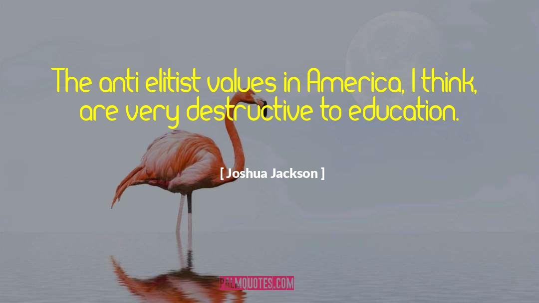 Joshua Jackson Quotes: The anti-elitist values in America,