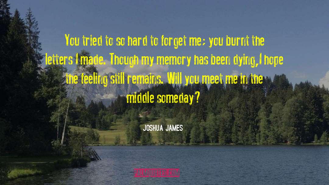 Joshua James Quotes: You tried to so hard