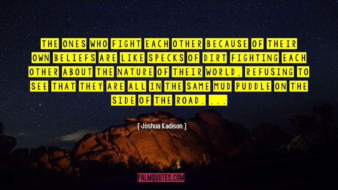 Joshua Kadison Quotes: The ones who fight each
