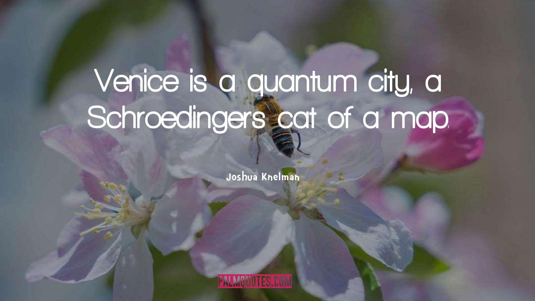 Joshua Knelman Quotes: Venice is a quantum city,