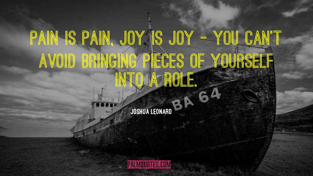 Joshua Leonard Quotes: Pain is pain, joy is