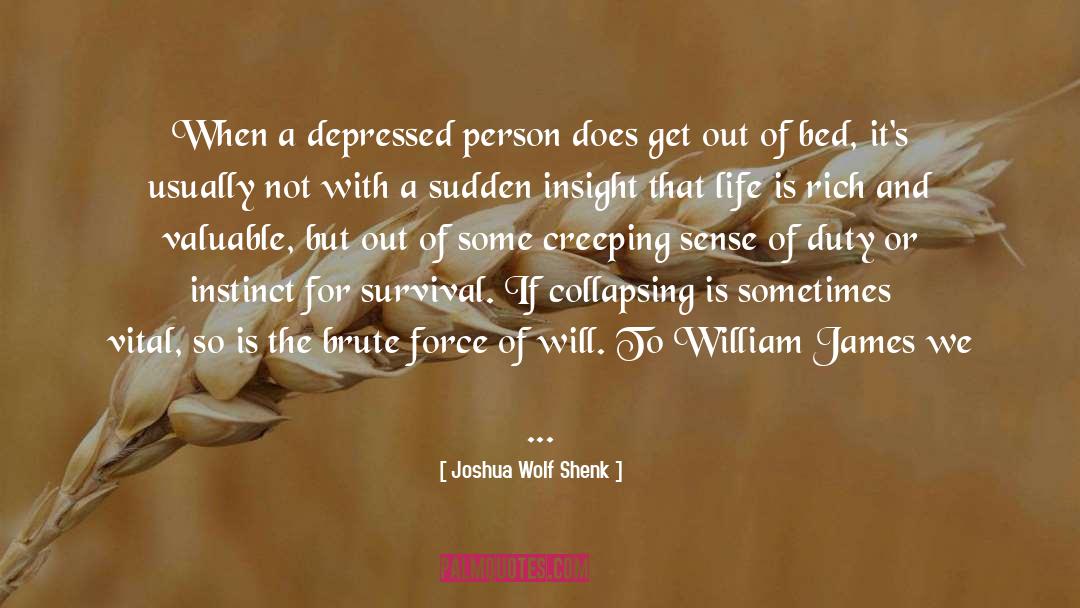Joshua Wolf Shenk Quotes: When a depressed person does