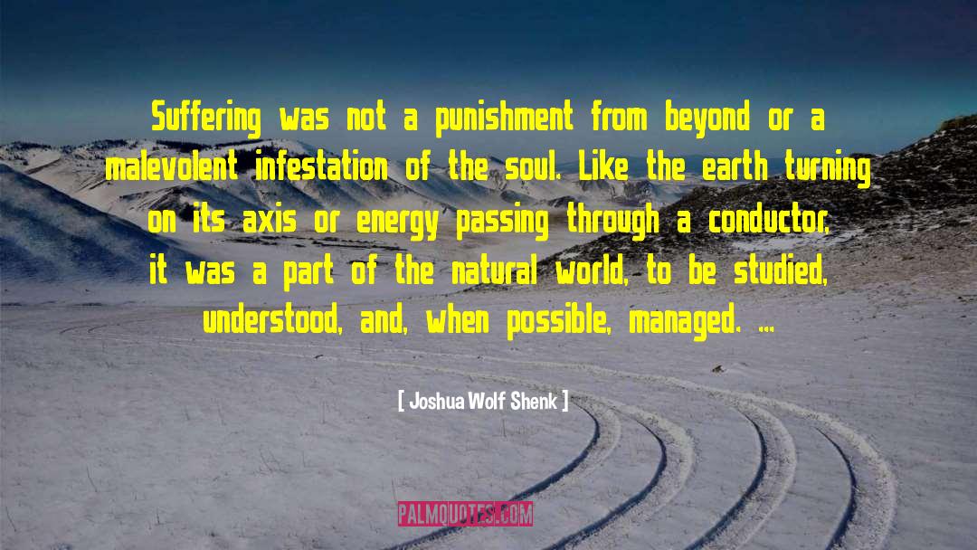 Joshua Wolf Shenk Quotes: Suffering was not a punishment