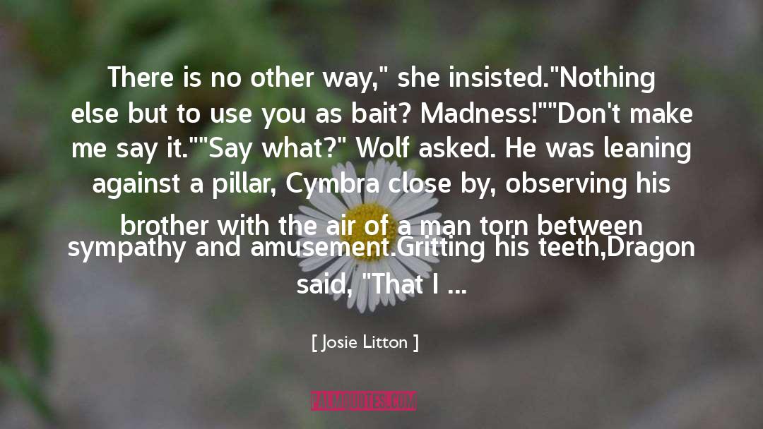 Josie Litton Quotes: There is no other way,