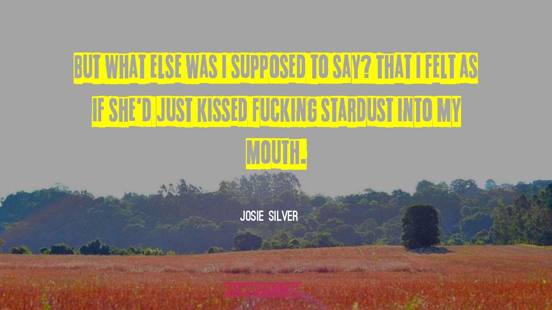 Josie Silver Quotes: But what else was I