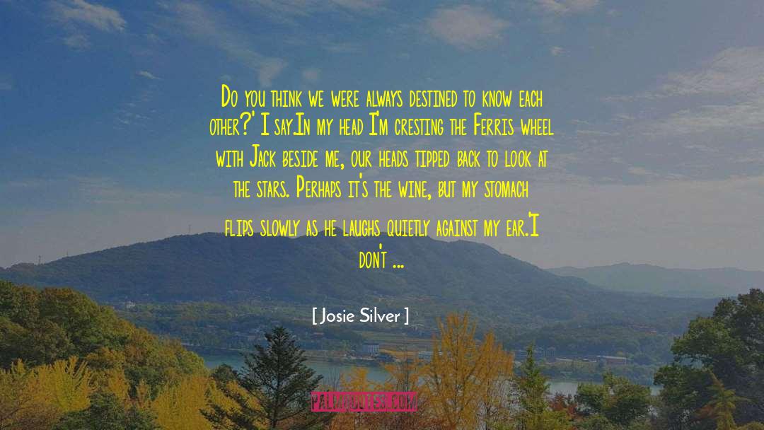 Josie Silver Quotes: Do you think we were