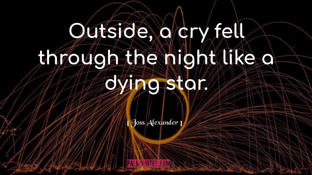 Joss Alexander Quotes: Outside, a cry fell through