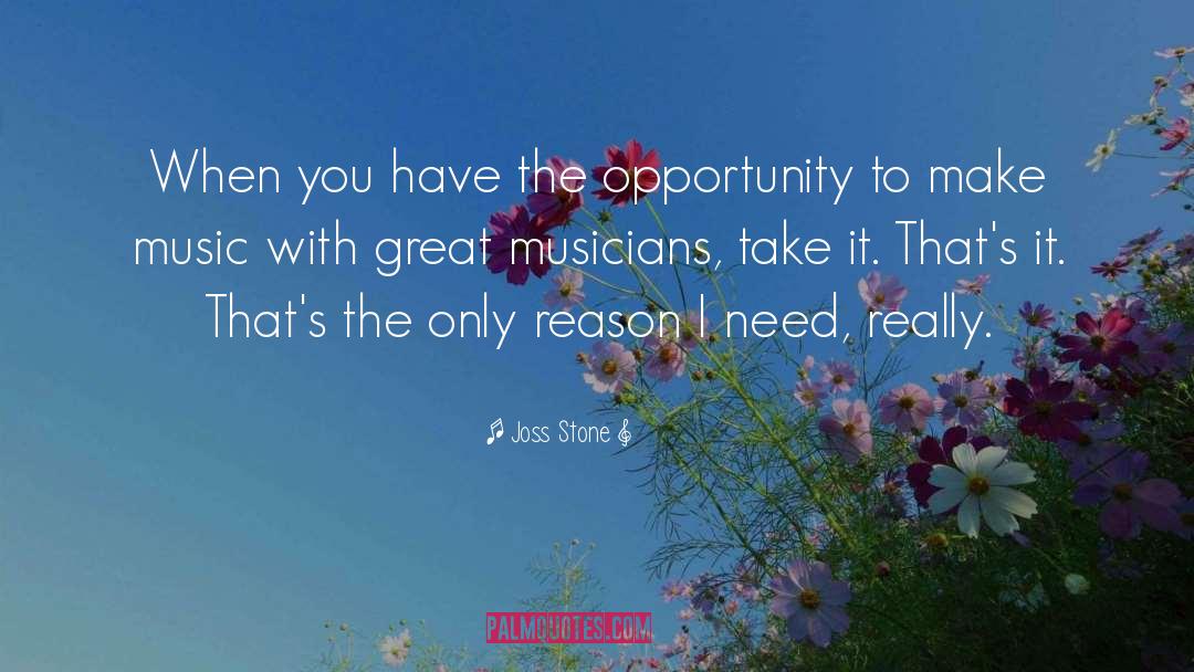 Joss Stone Quotes: When you have the opportunity