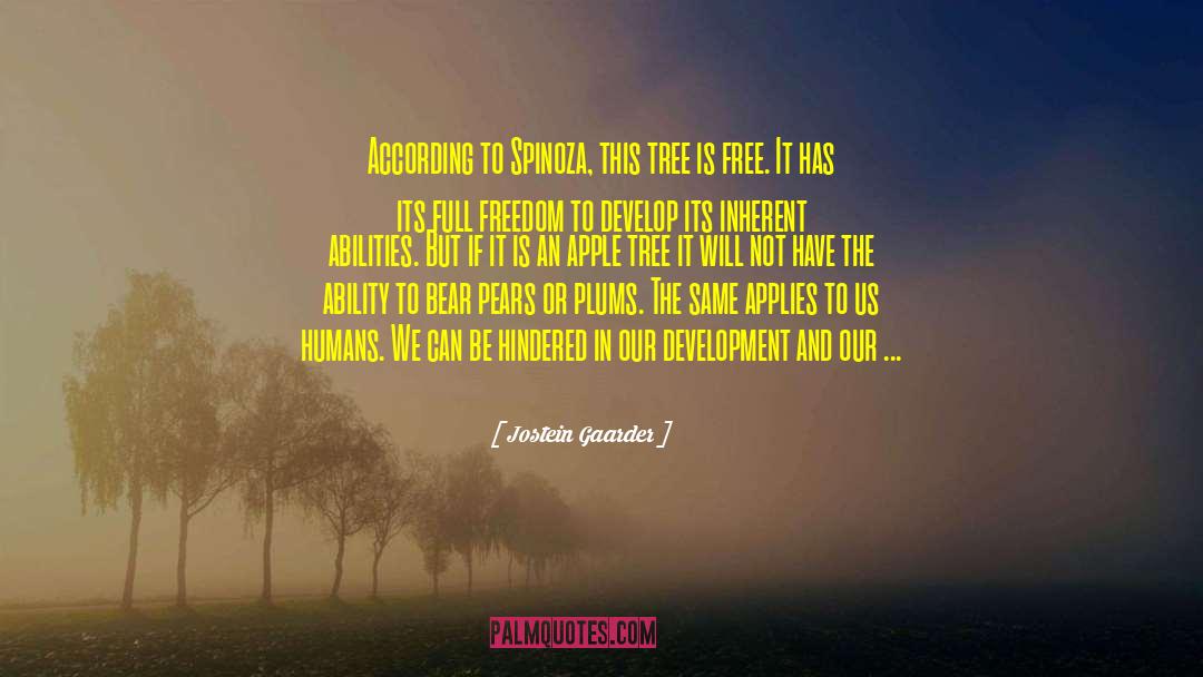 Jostein Gaarder Quotes: According to Spinoza, this tree