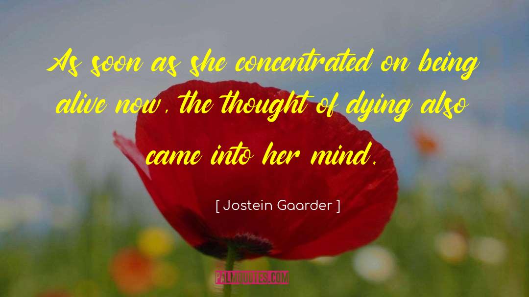 Jostein Gaarder Quotes: As soon as she concentrated